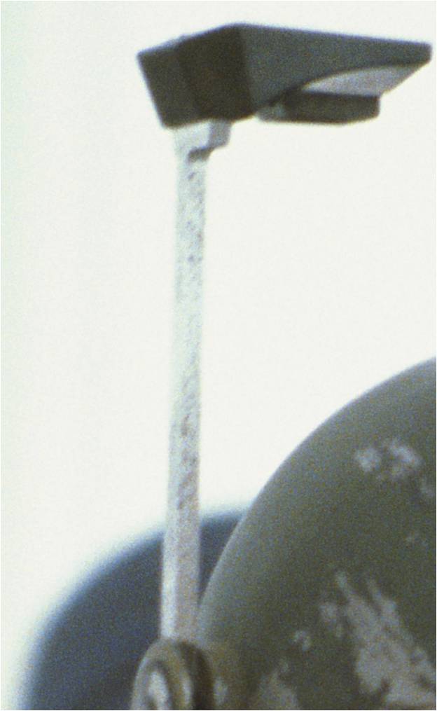 RF%20Stalk%202_zpshss2zgrn.jpg