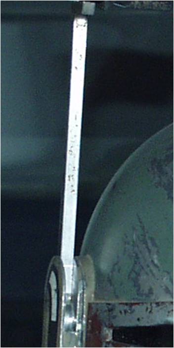 RF%20Stalk%20AOSW_zpsgfyul09m.jpg