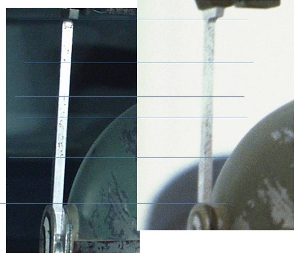 RF%20Stalk%20Comparison_zpss7jlkrg7.jpg