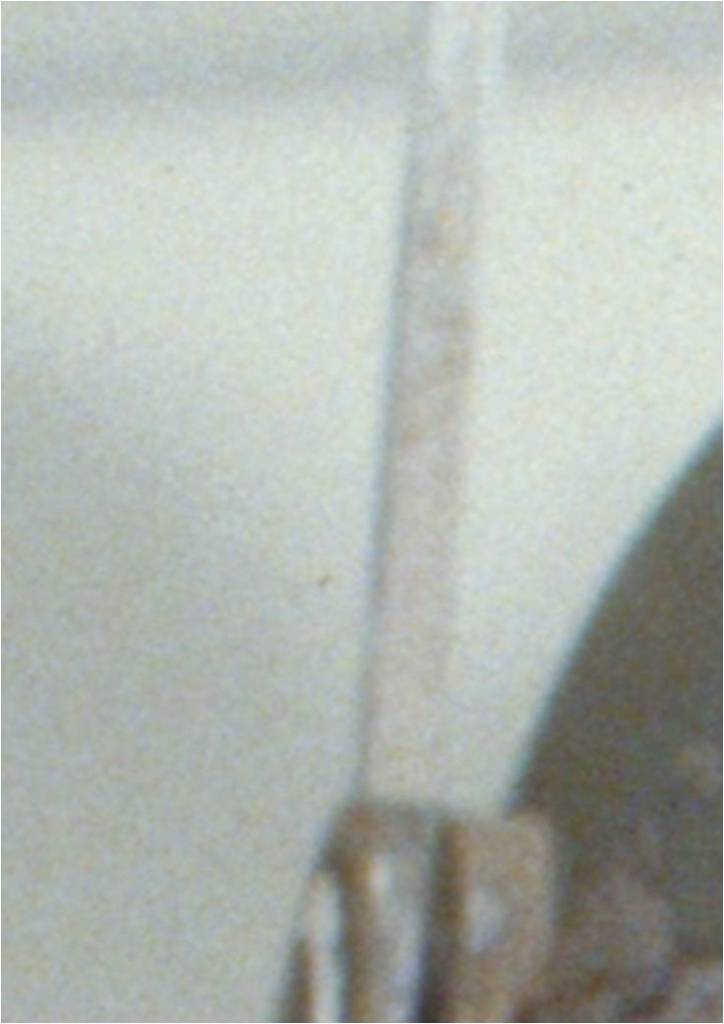 RF%20Stalk_zpswim4xczd.jpg