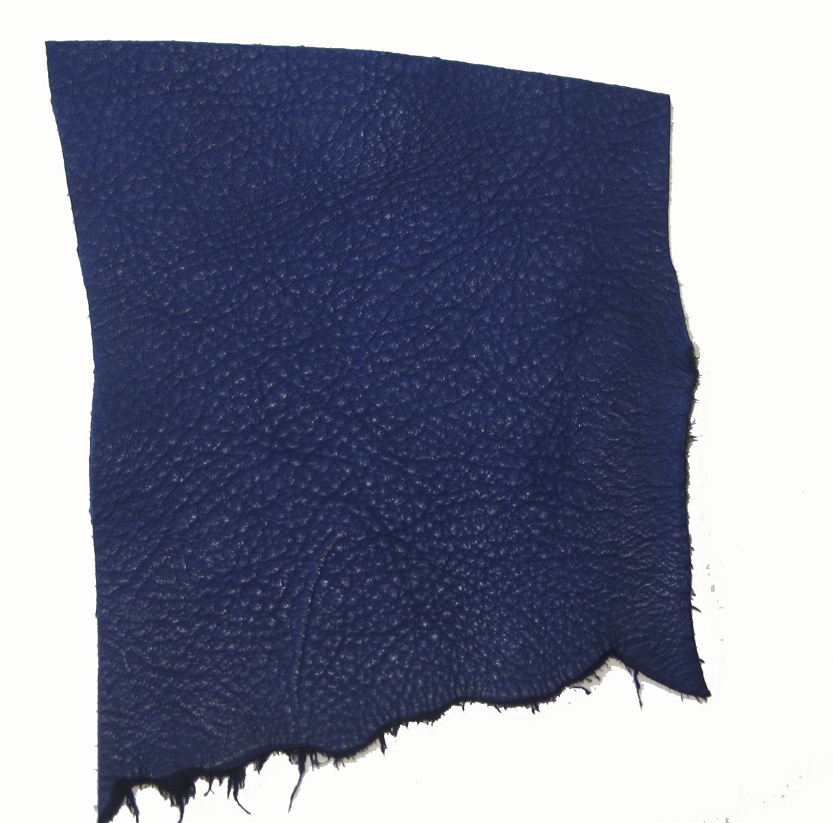 Royal_Blue_Swatch.JPG
