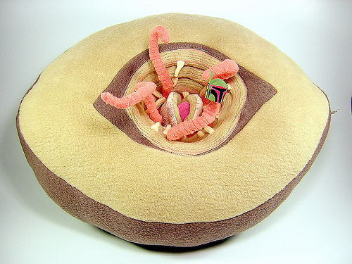 sarlacc-pillow1.jpg