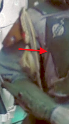 Screen Shot 2021-01-28 at 2.36.39 PM.png