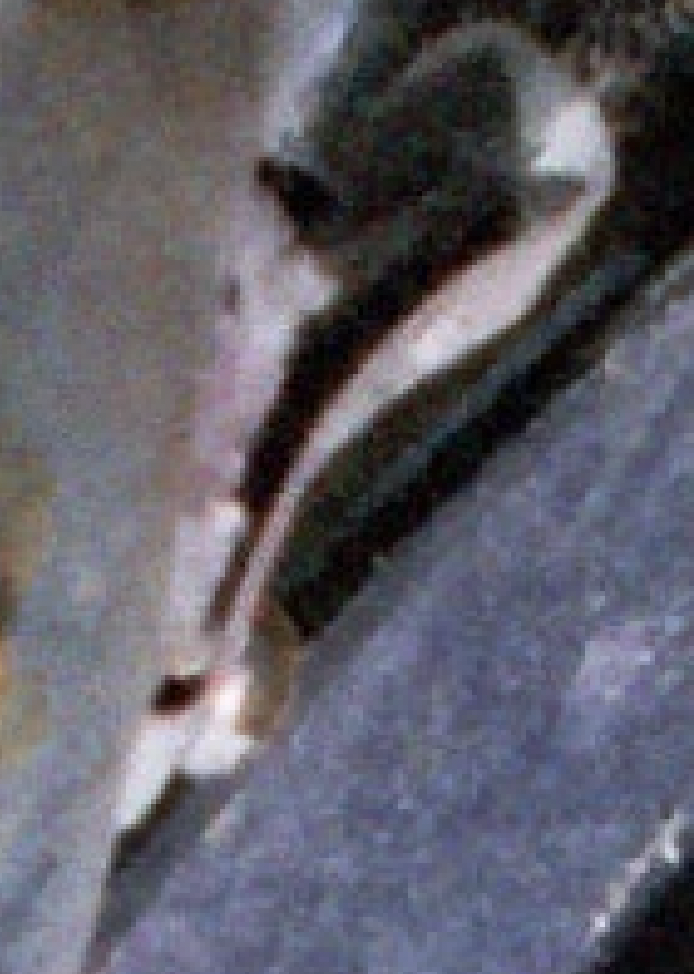 Screen Shot 2021-02-01 at 10.53.12 PM.png