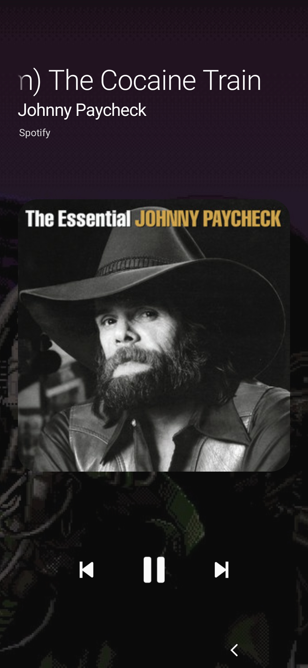 Screenshot_20200805-101755_Spotify.jpg