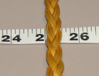Seven 042507 002 EDIT.jpg
