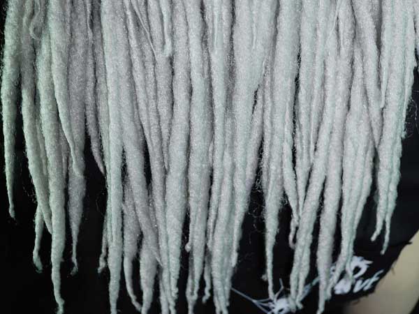 silver dreads.jpg