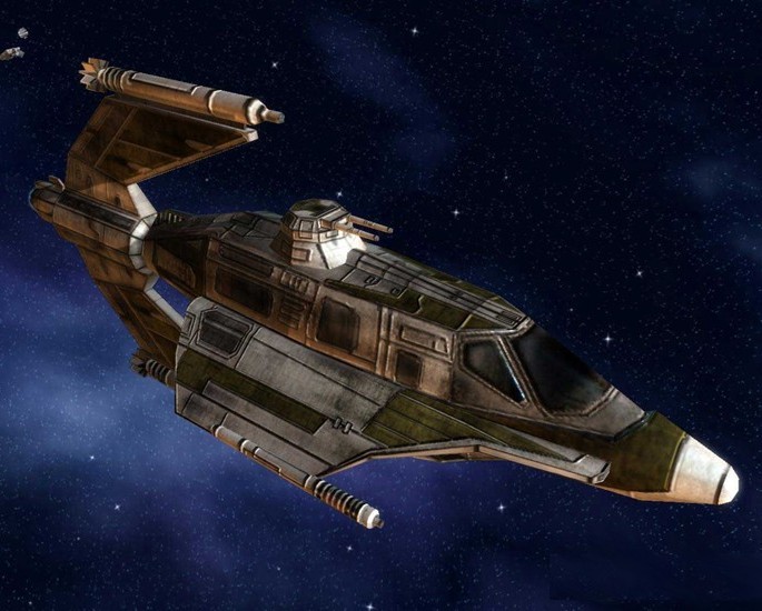 Skipray2.jpg