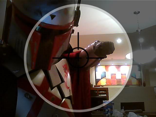 Snapshot_20100401_14.jpg