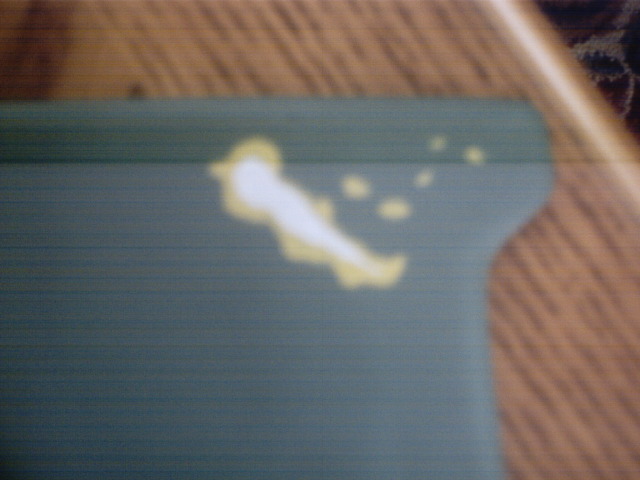 SUNP0034.JPG