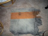 th_100_0176.jpg