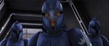 th_SenateGuard0004.jpg