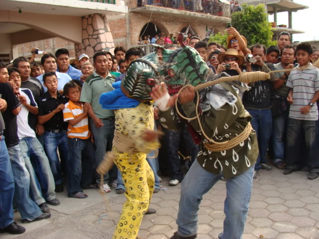 TIGRES_2_ZITLALA_Foto_Jortge_Alberto_Silva.jpg