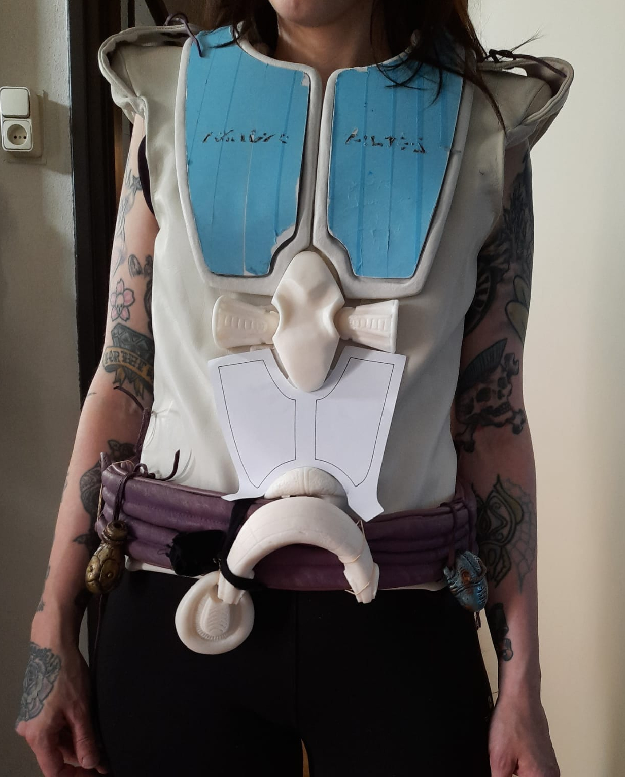 torsowip.jpg