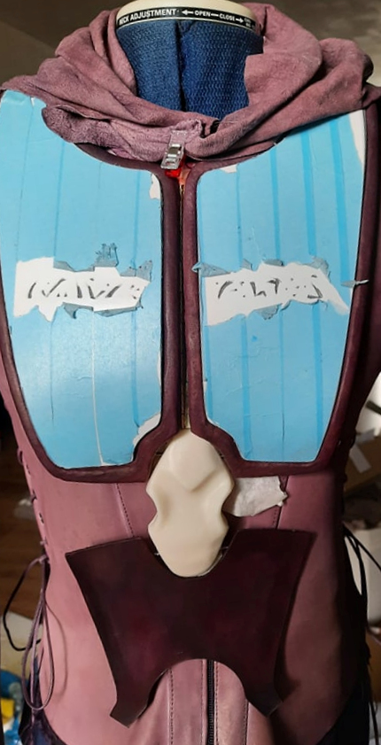 Torsowip2.jpg