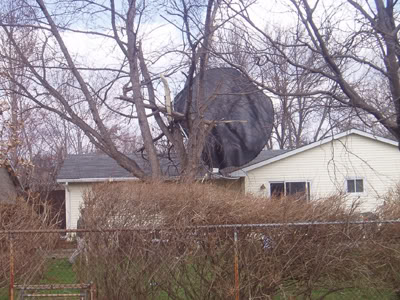 trampoline20in20the20tree.jpg