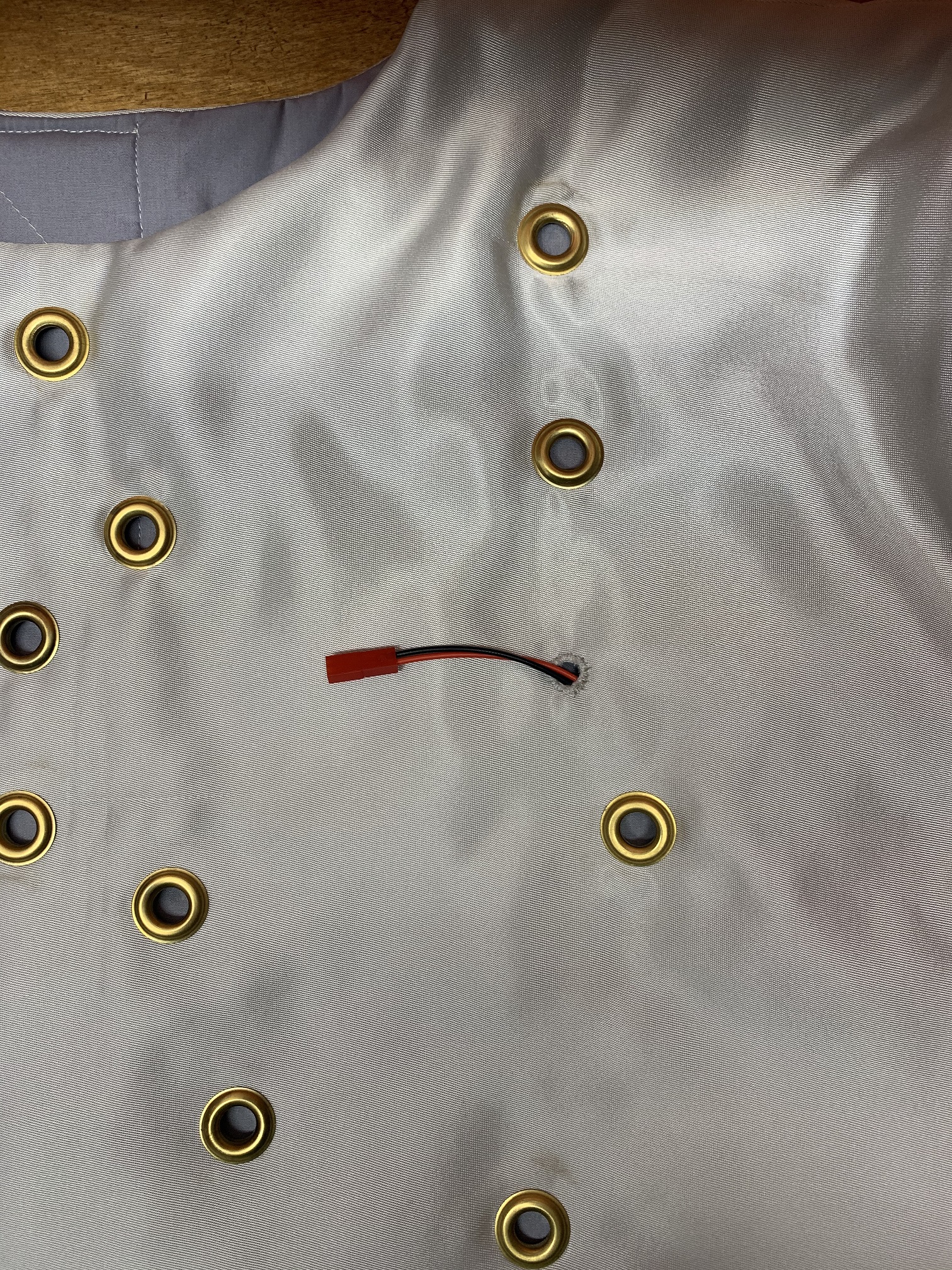 Vest Hole for Fettronics.jpg