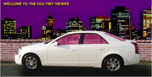 whitecar-hotpink.jpg