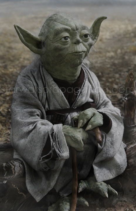 yoda_dag1.jpg