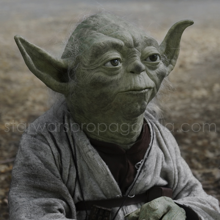 yoda_dag2.jpg