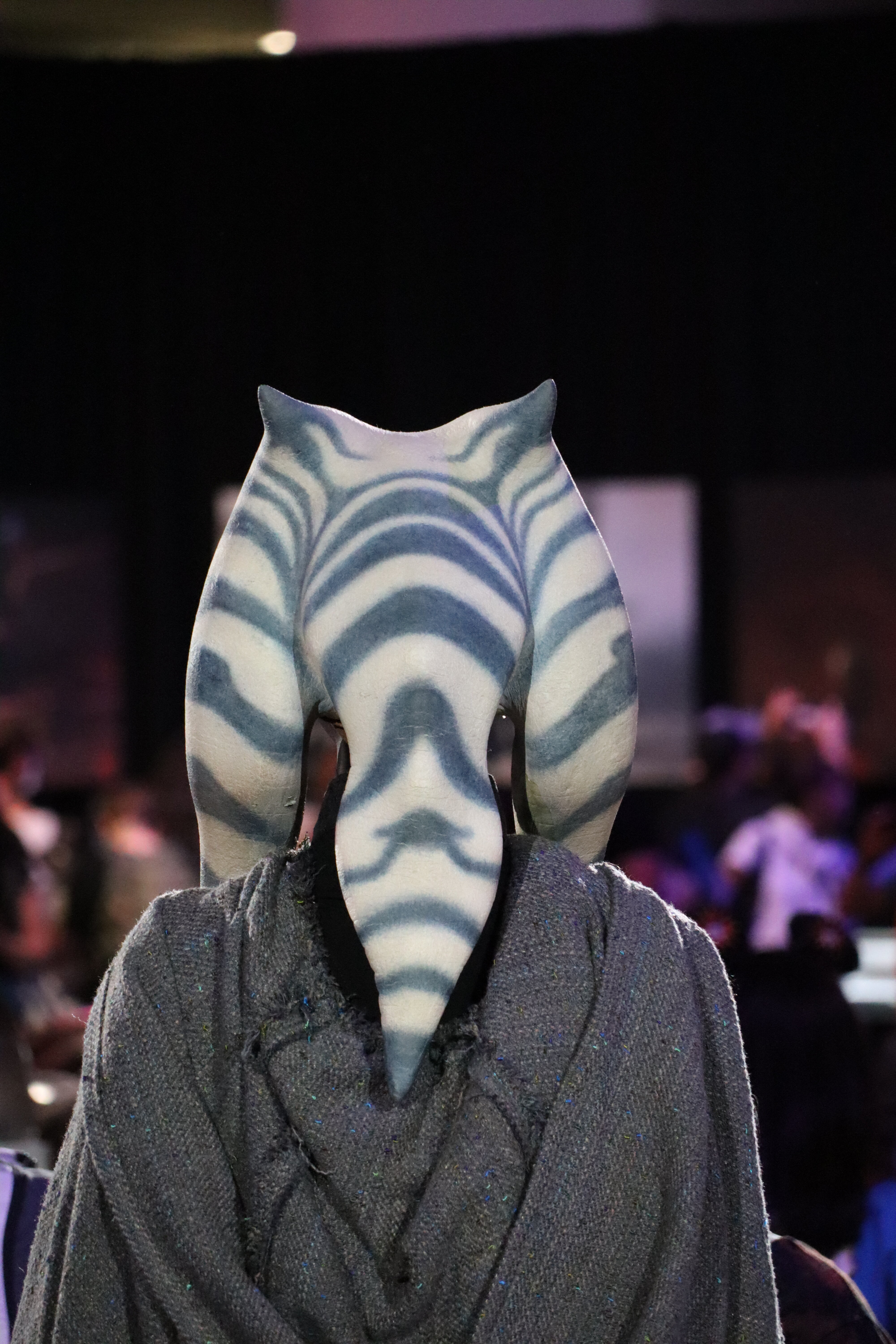 Ahsoka Tano 38.jpg