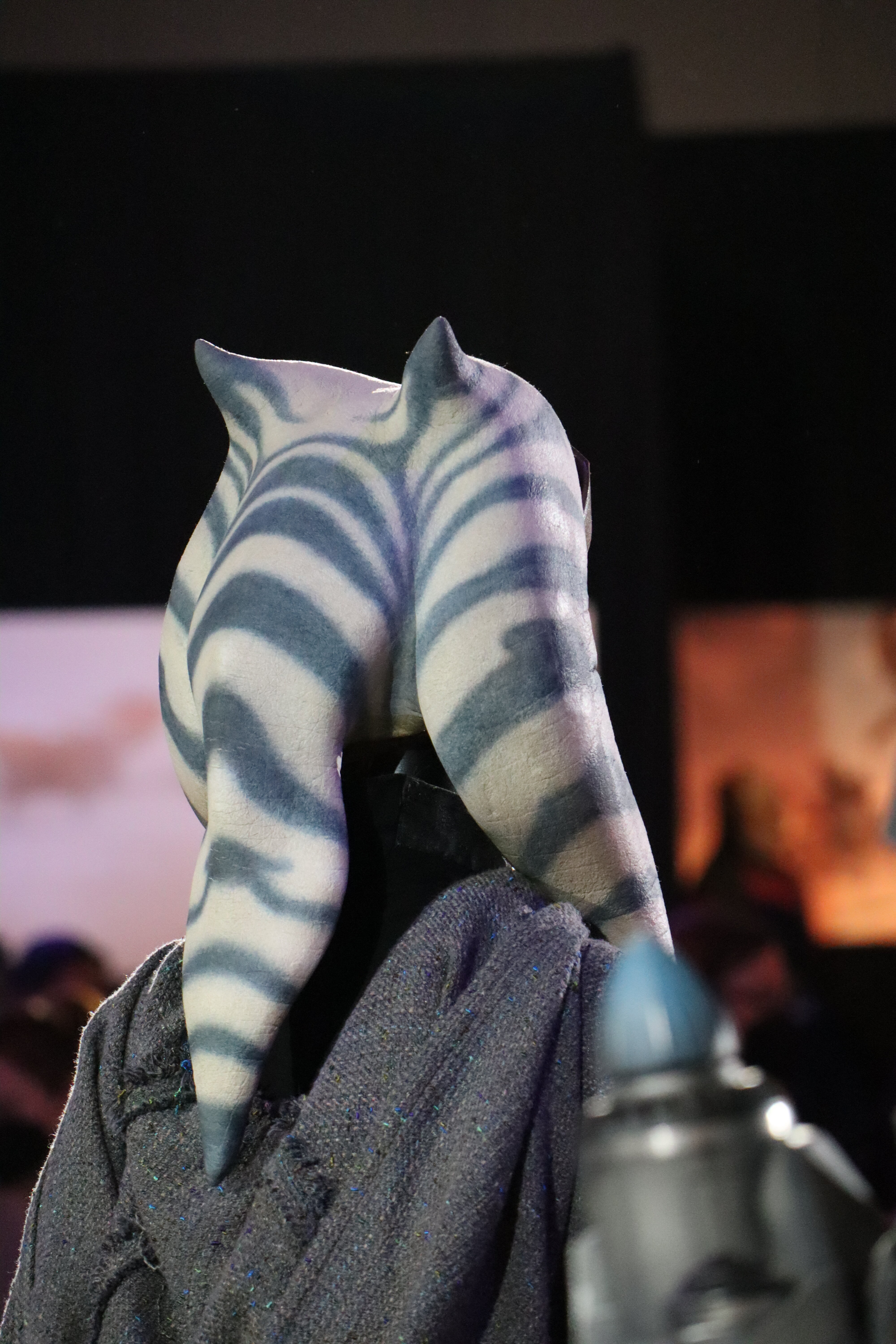 Ahsoka Tano 39.jpg