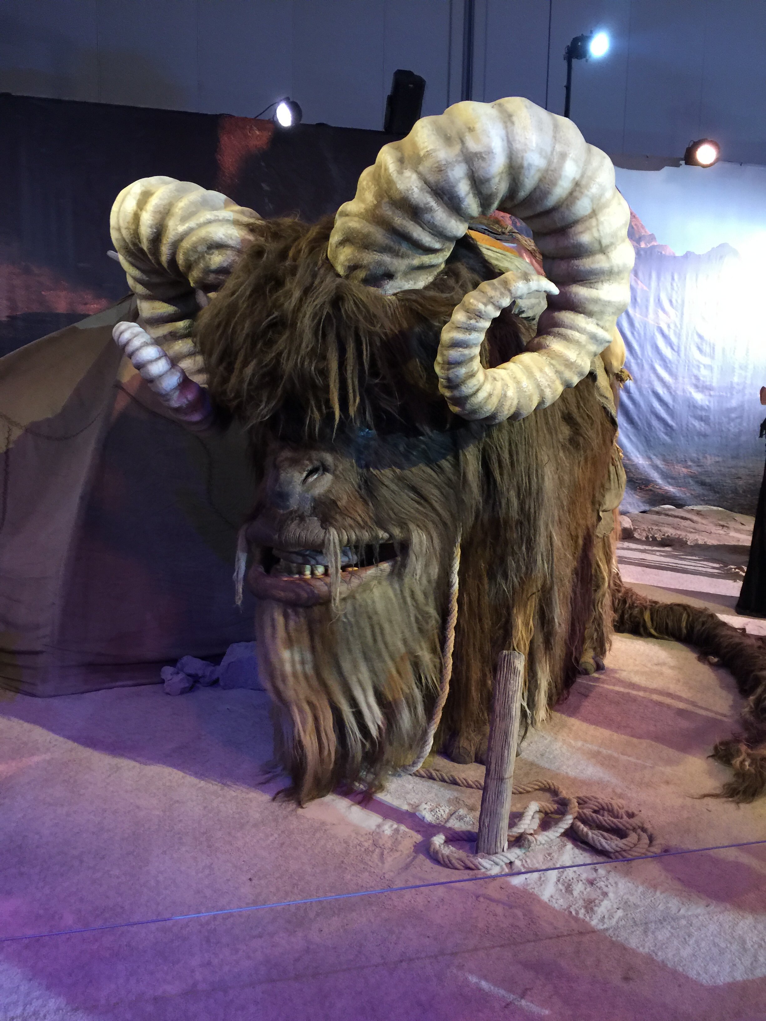 Bantha 05.jpg