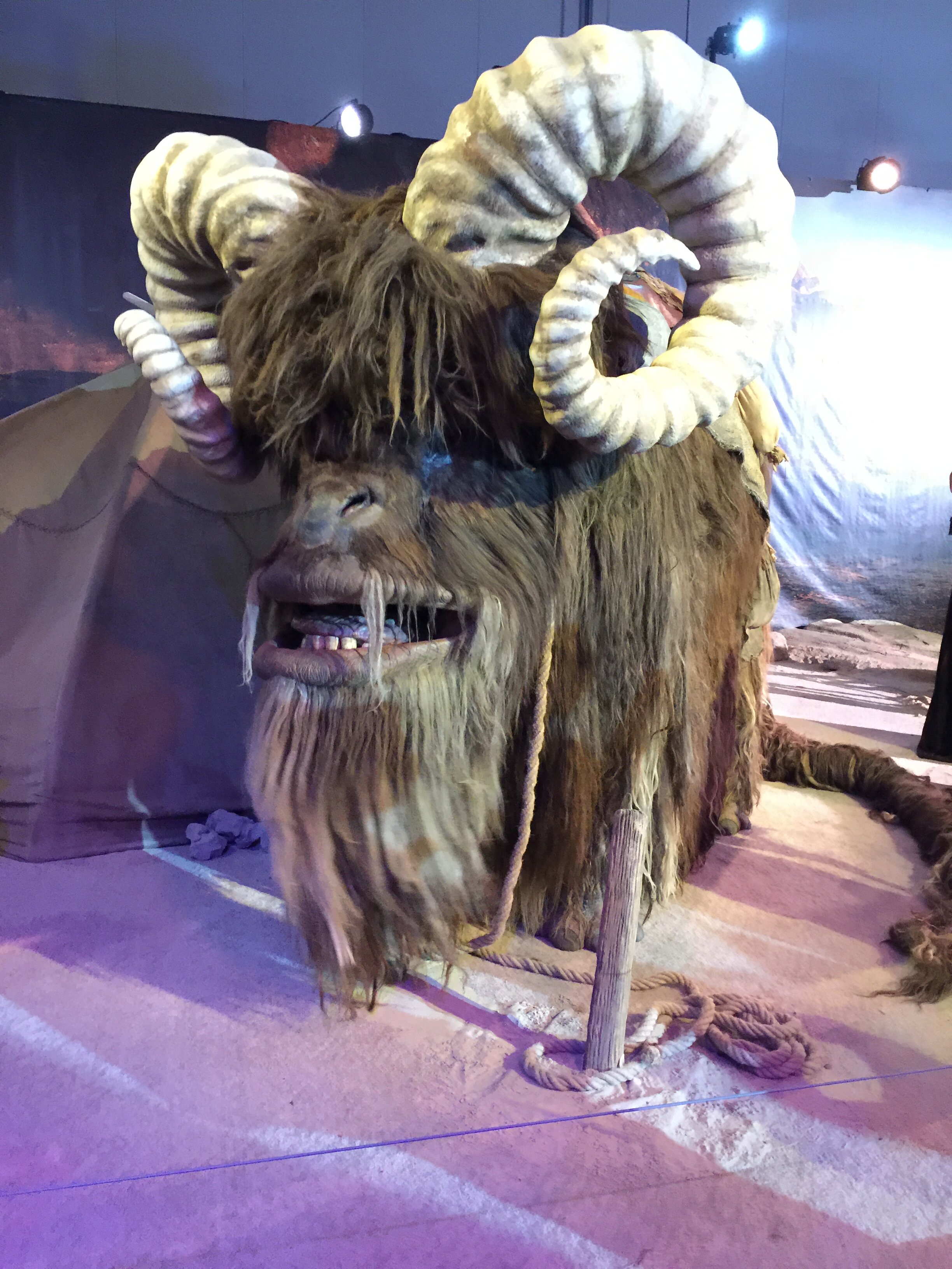 Bantha 07.jpg
