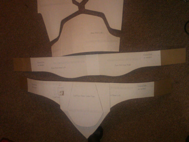 cod piece front and rear belt
