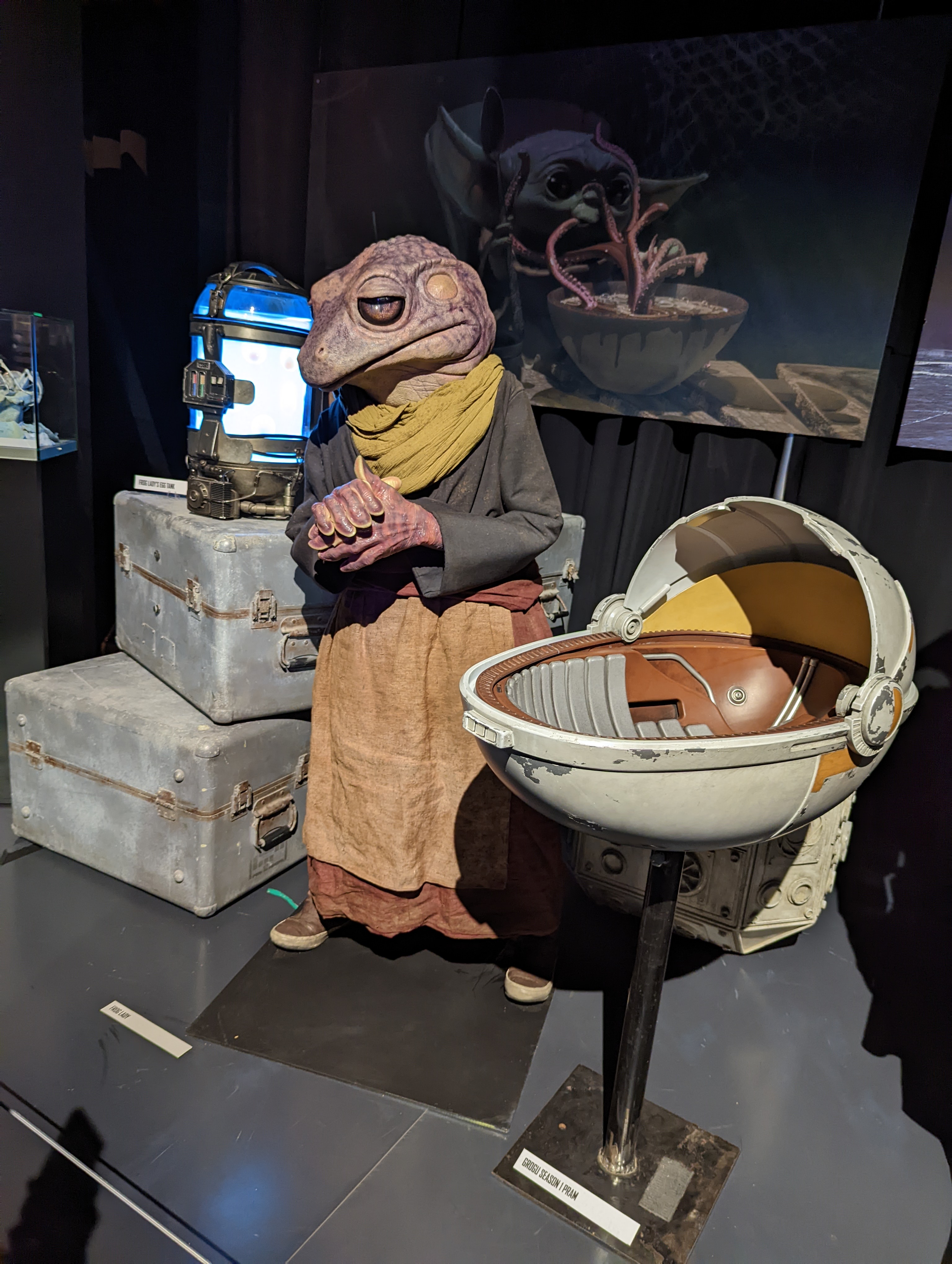 Frog Lady 06.jpg