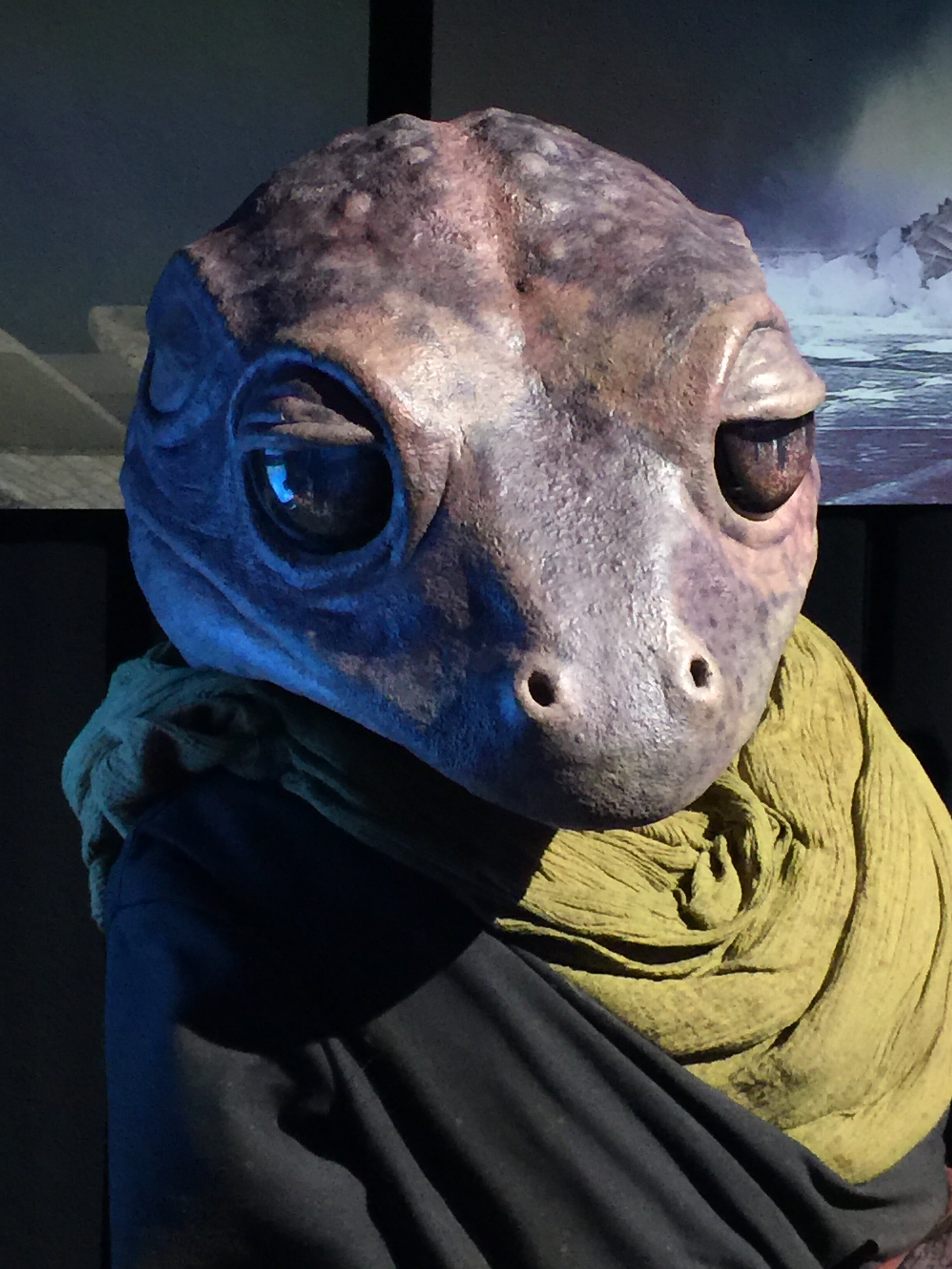 Frog Lady 20.jpg