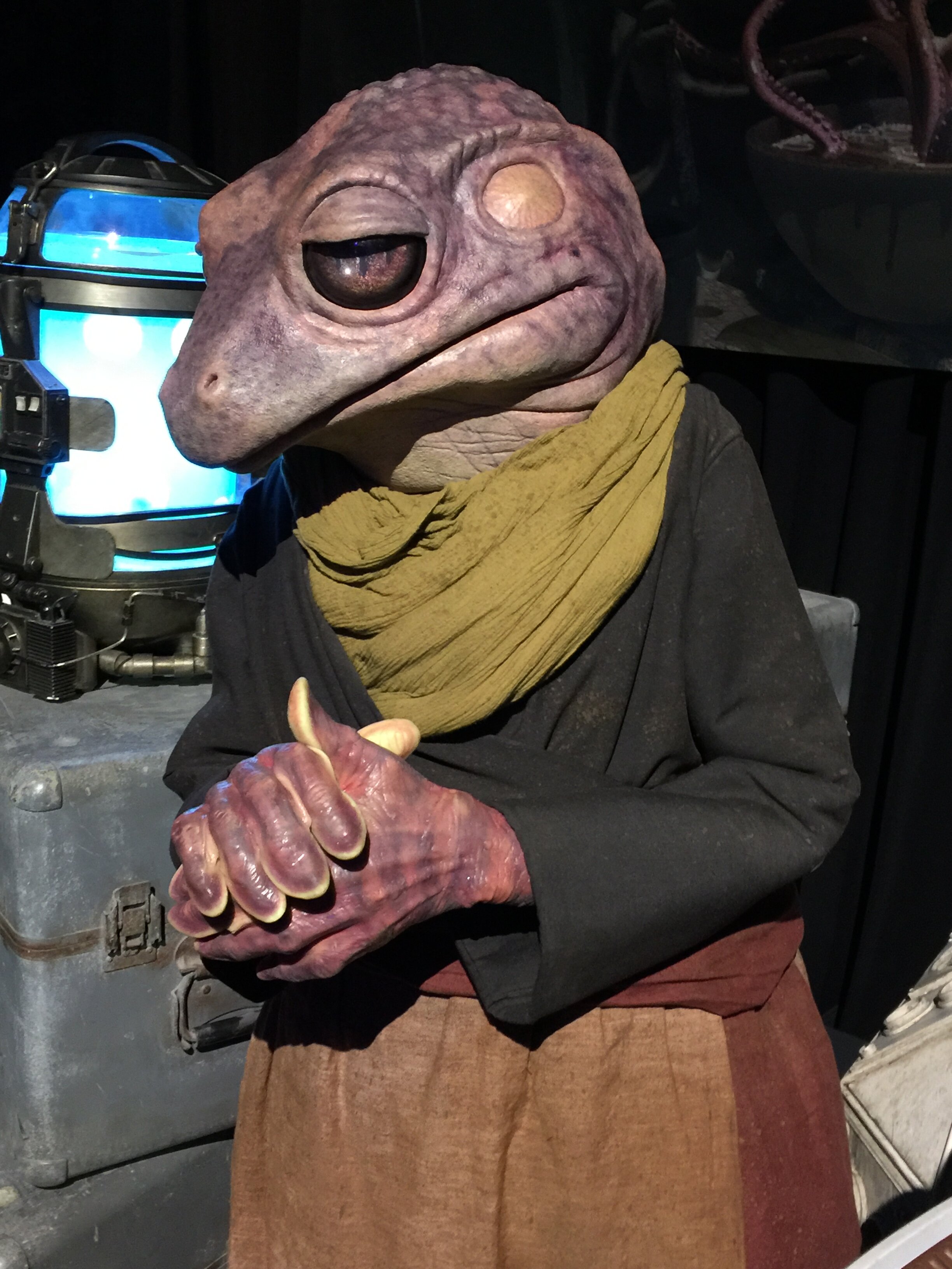 Frog Lady 31.jpg