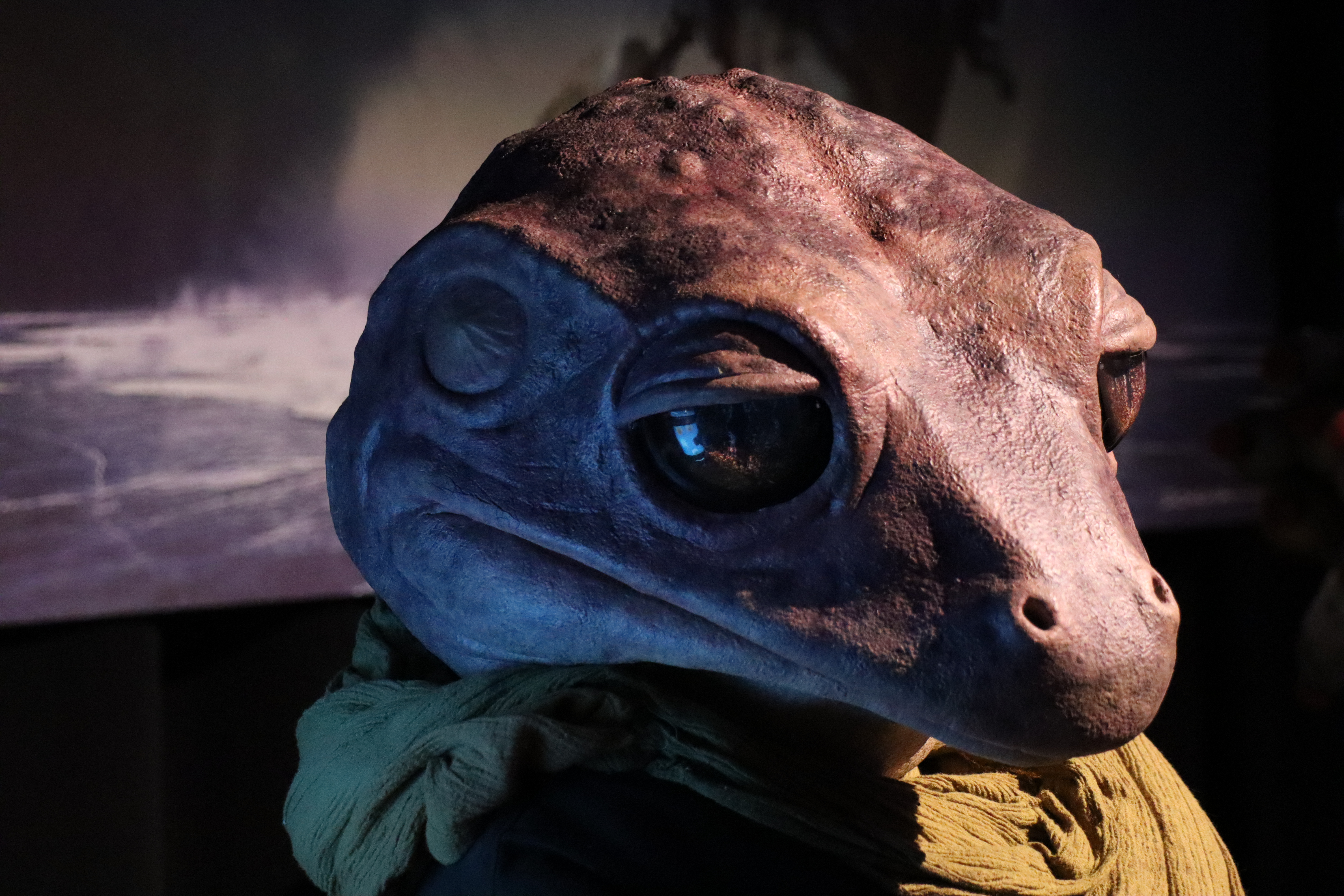Frog Lady 38.jpg
