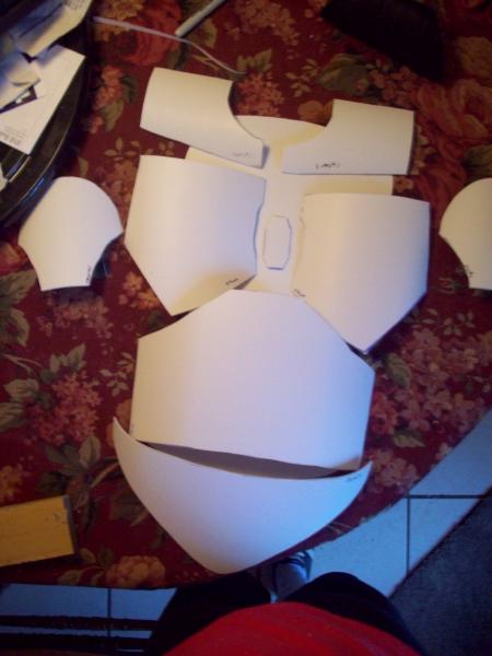 Here are all the pieces cut and laid out.