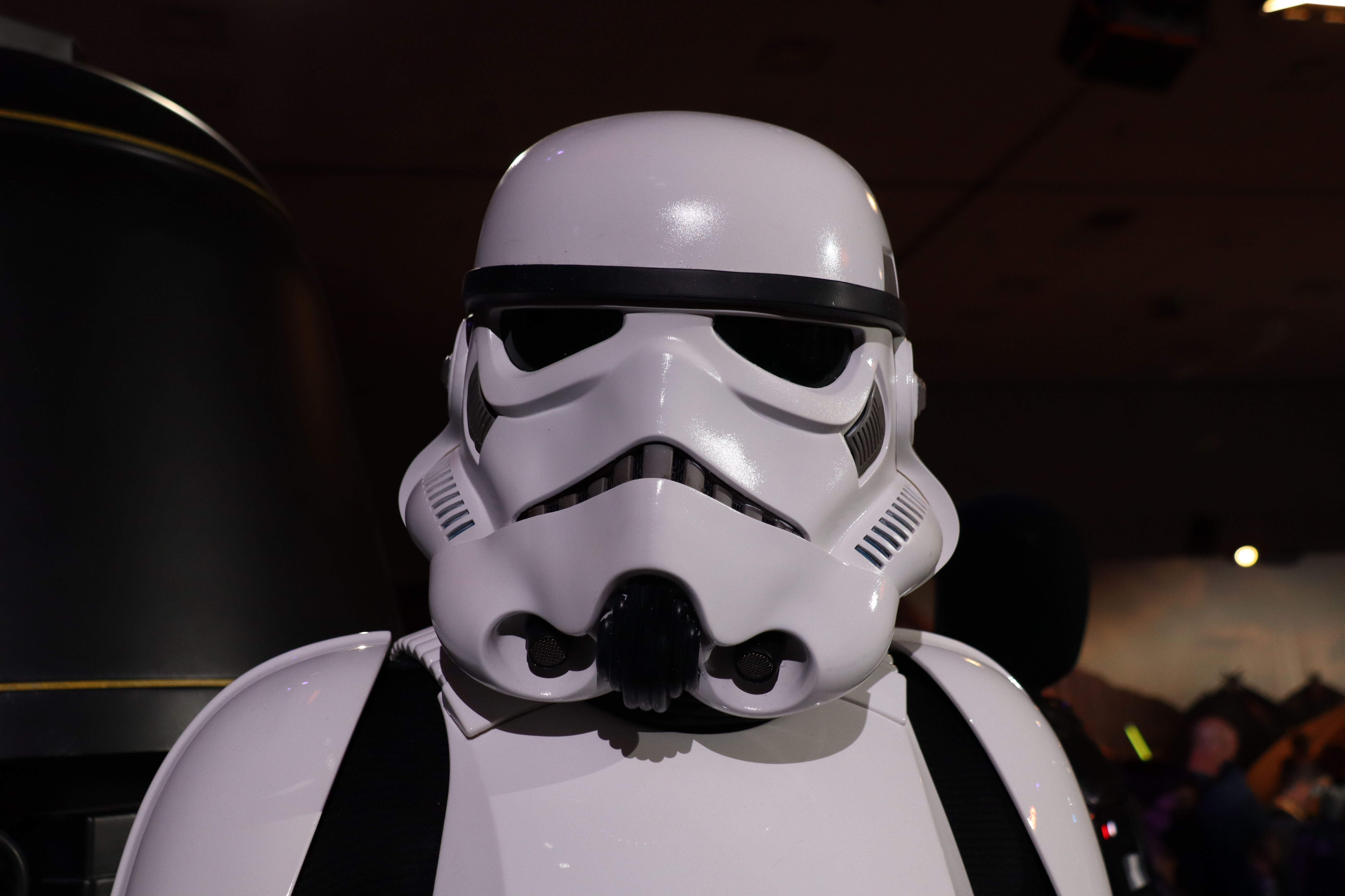 Imperial Remnant Stormtrooper 10.jpg