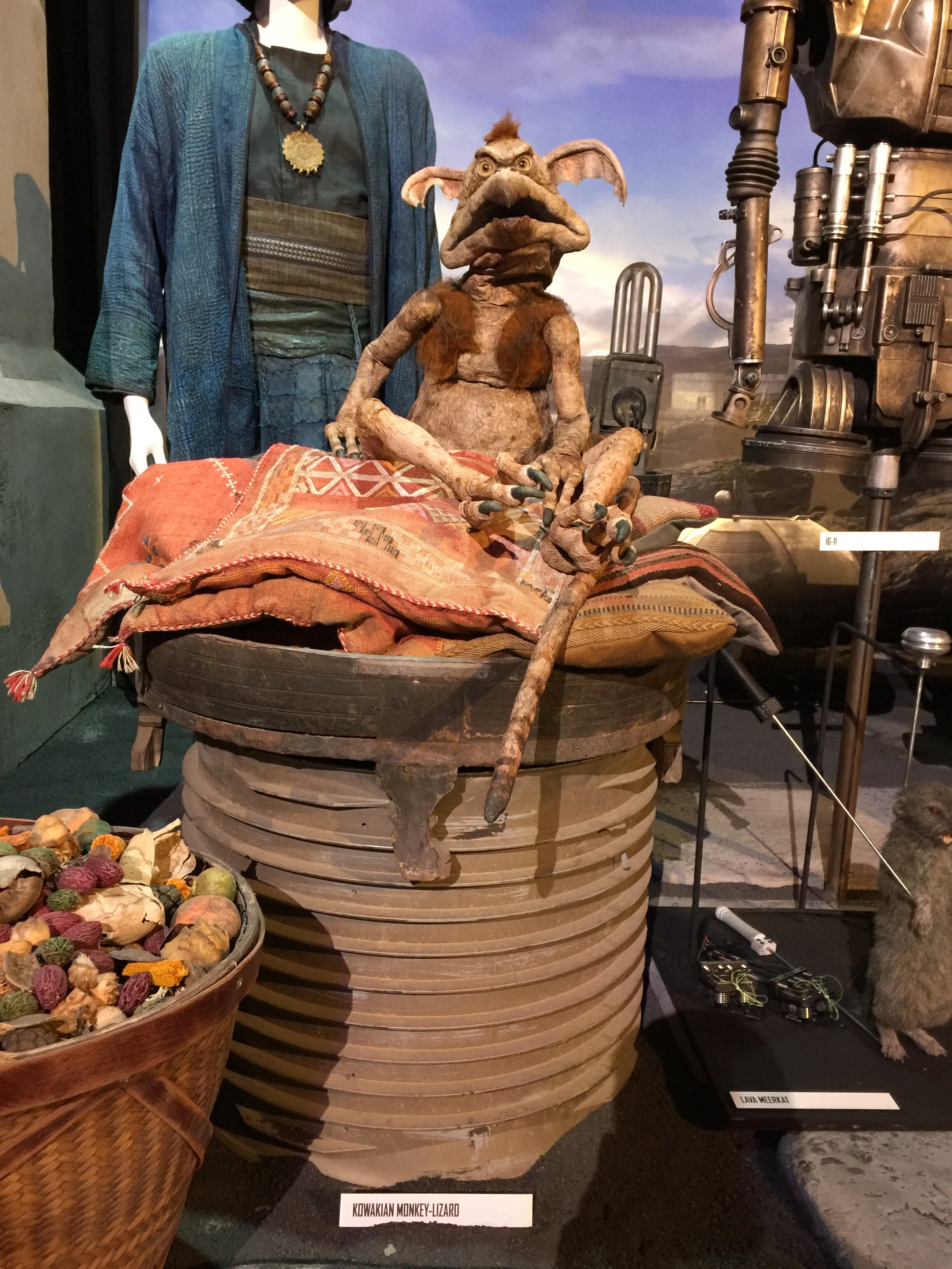 Kowakian Monkey-Lizard 4.jpg