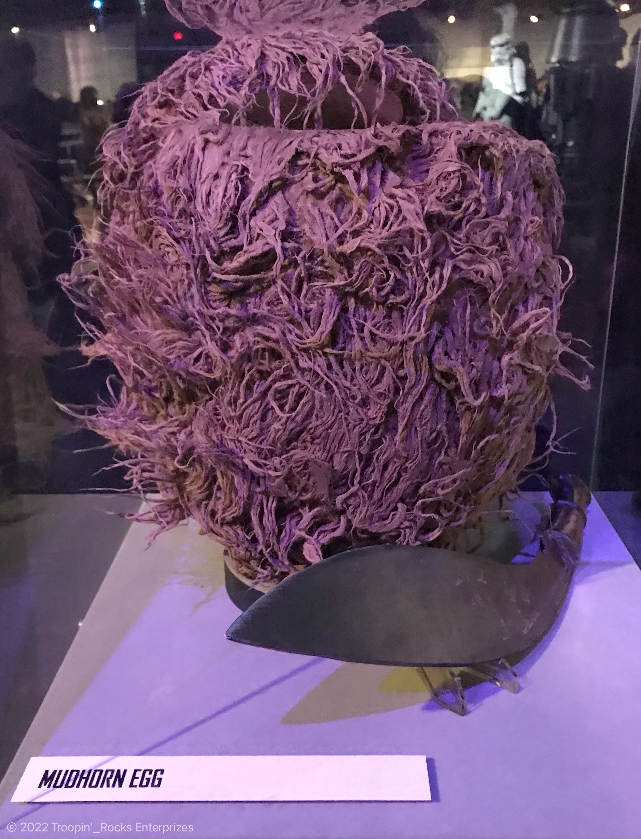 Mudhorn Egg 02.jpg