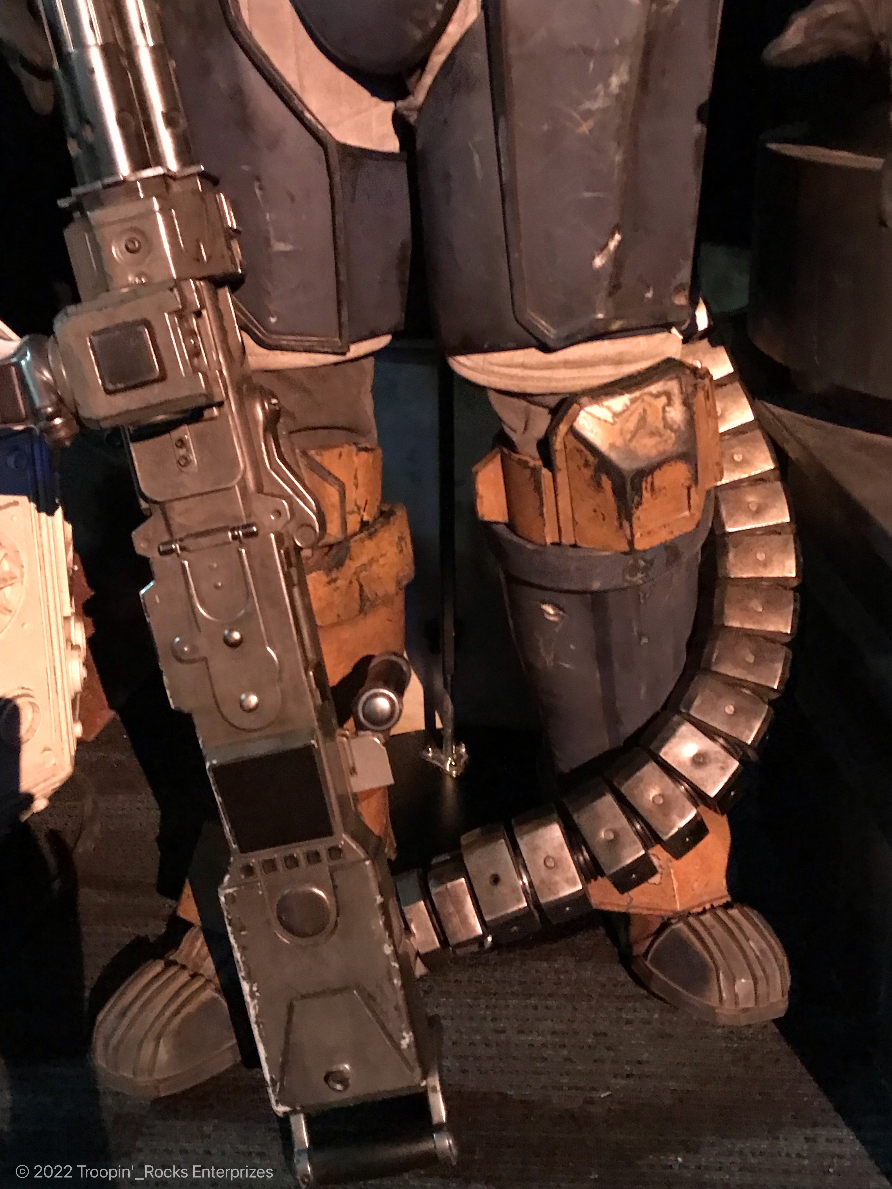 Paz Vizsla 50.jpeg