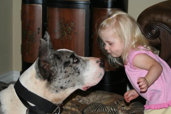 Ruger getting a kiss ( he tolerates her so much. They are buddies)