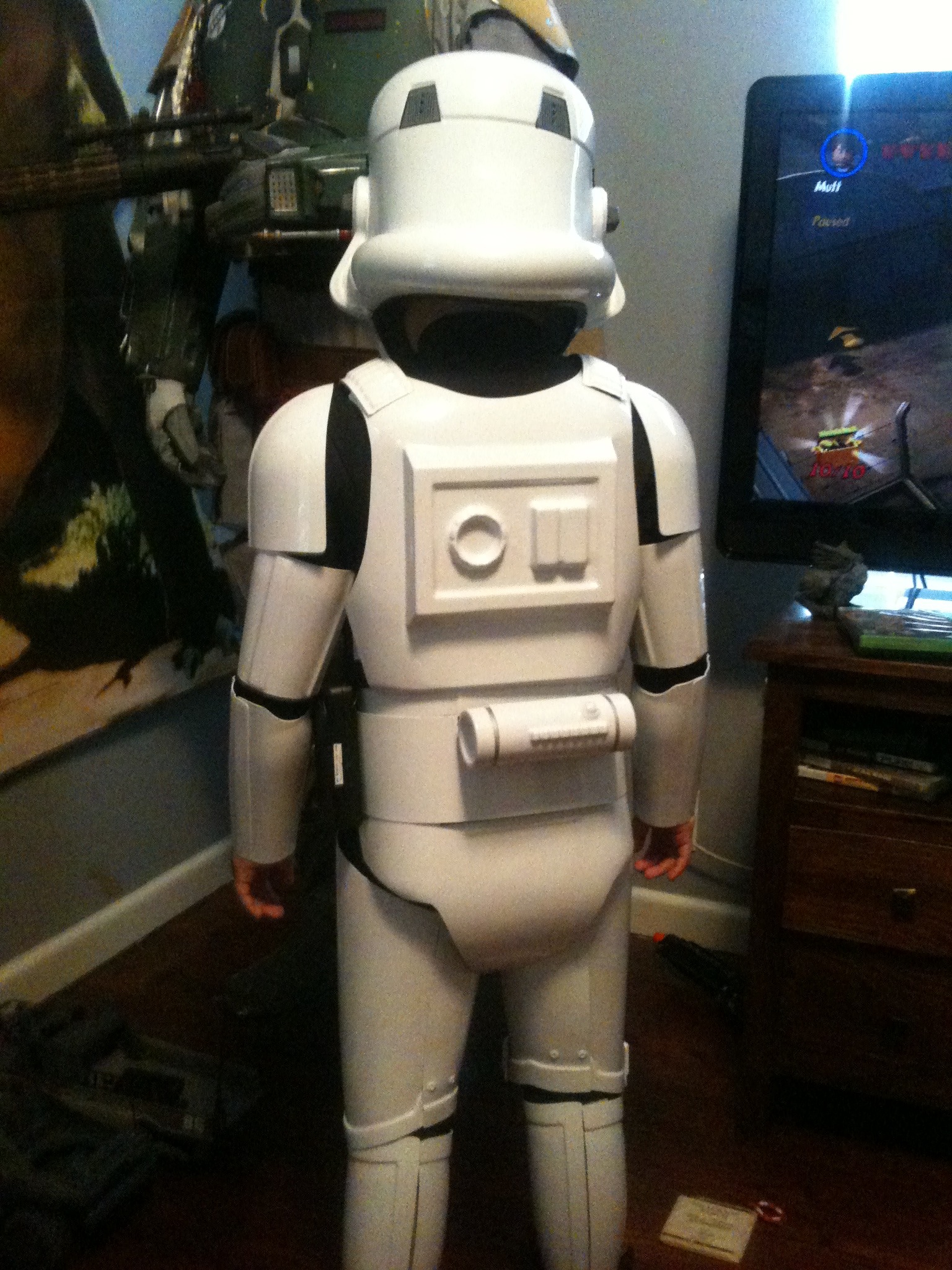 sons stormtrooper back view