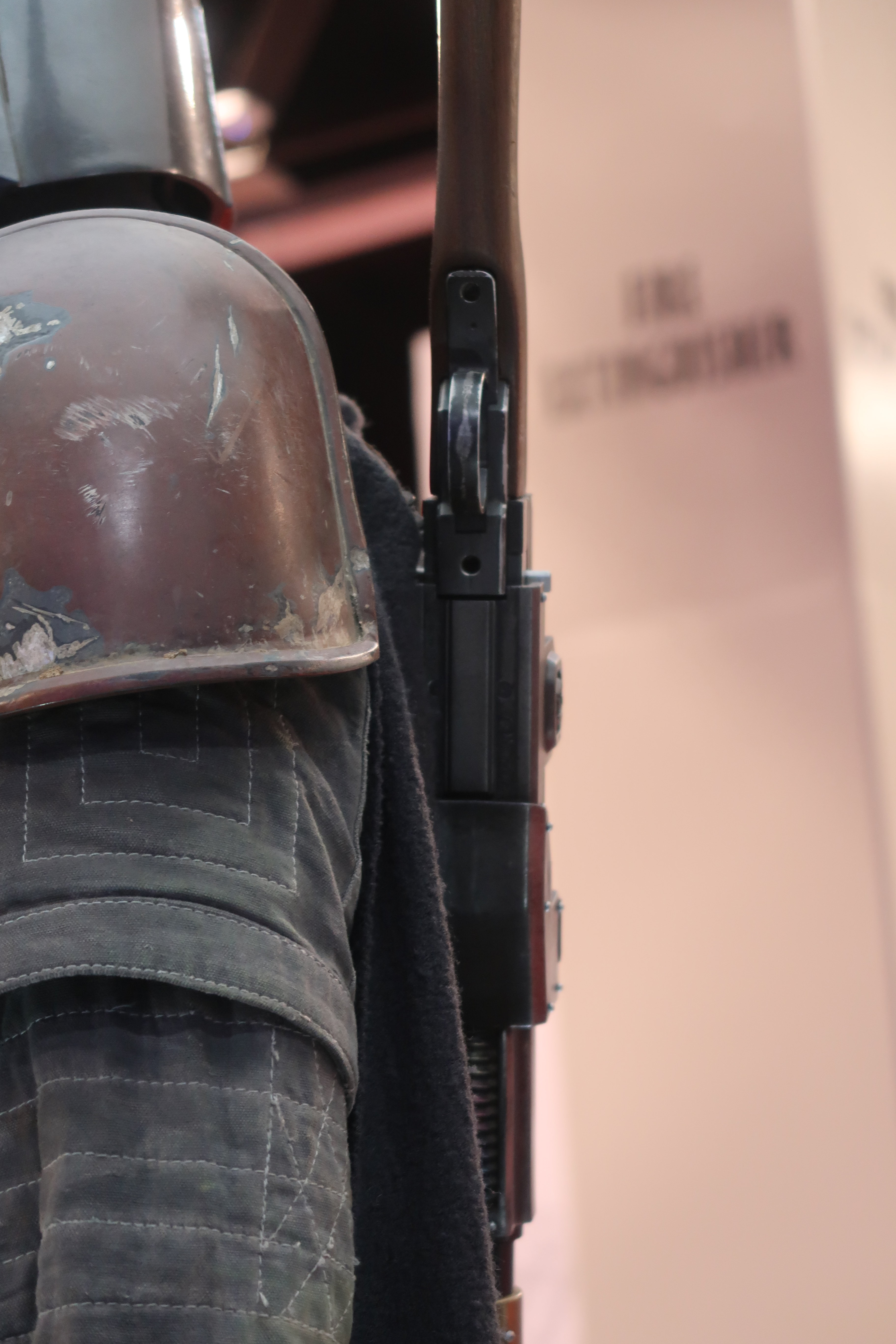 The Mandalorian - Din Djarin - D23 2019 172.jpg