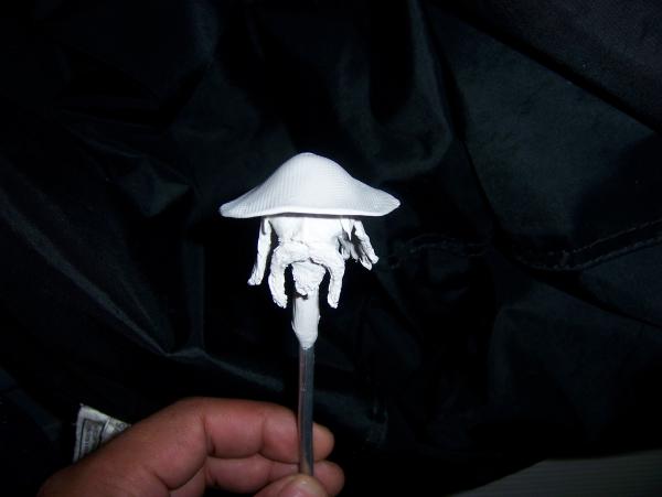 Top view.