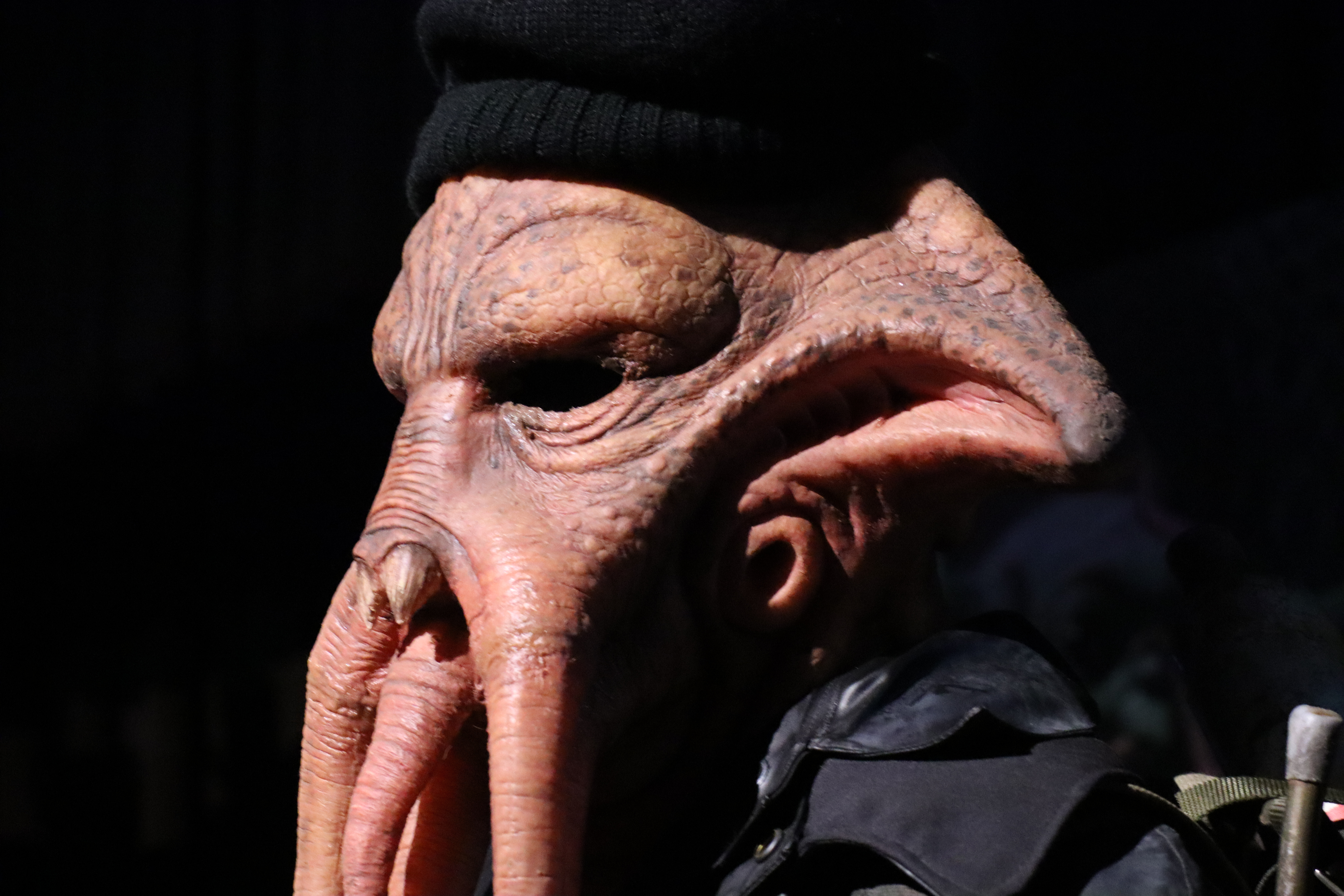 Trask Quarren and Mon Calamari Fishermen 37.jpg