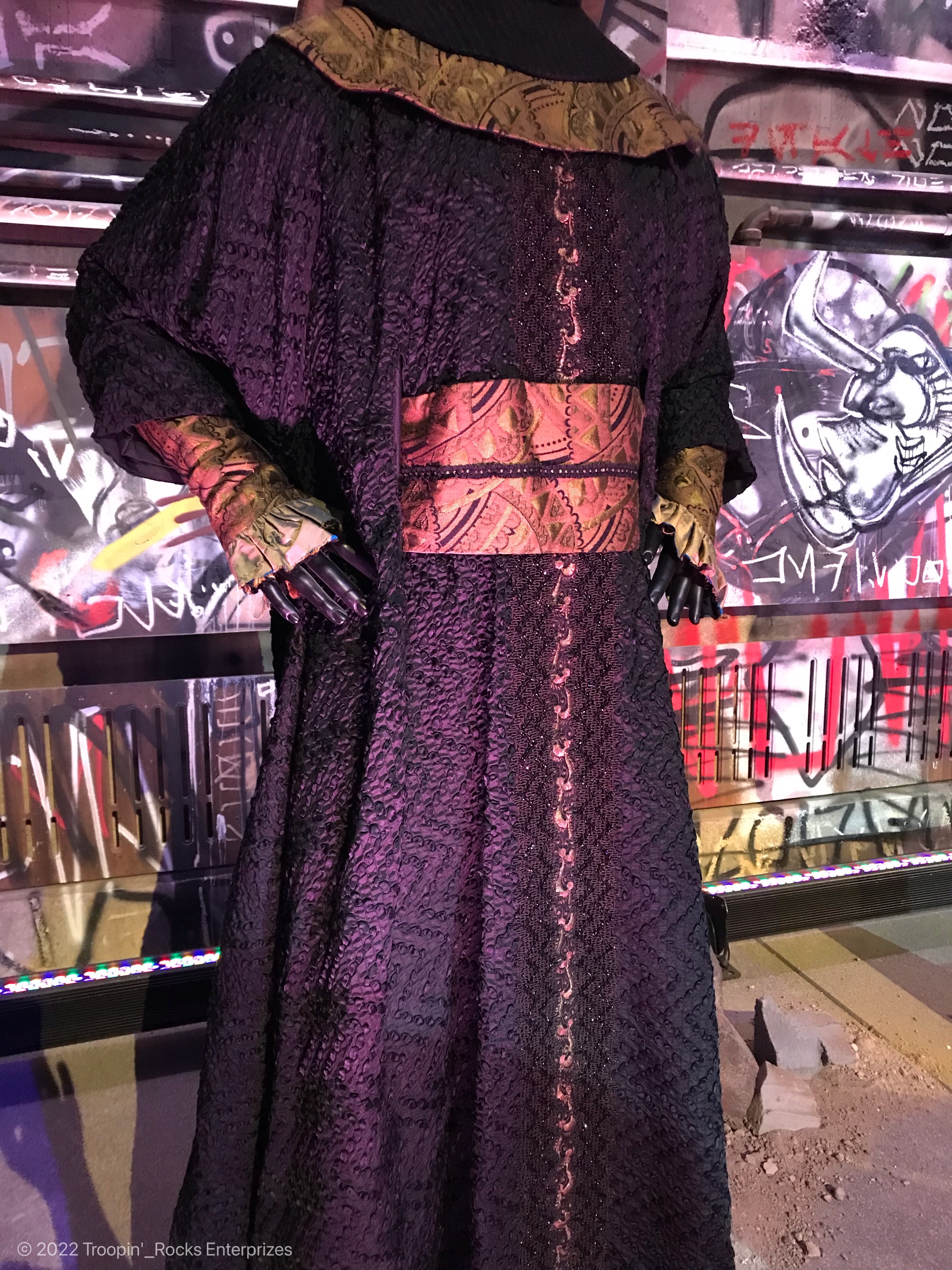 Twilek - Bodyguard 6.jpeg