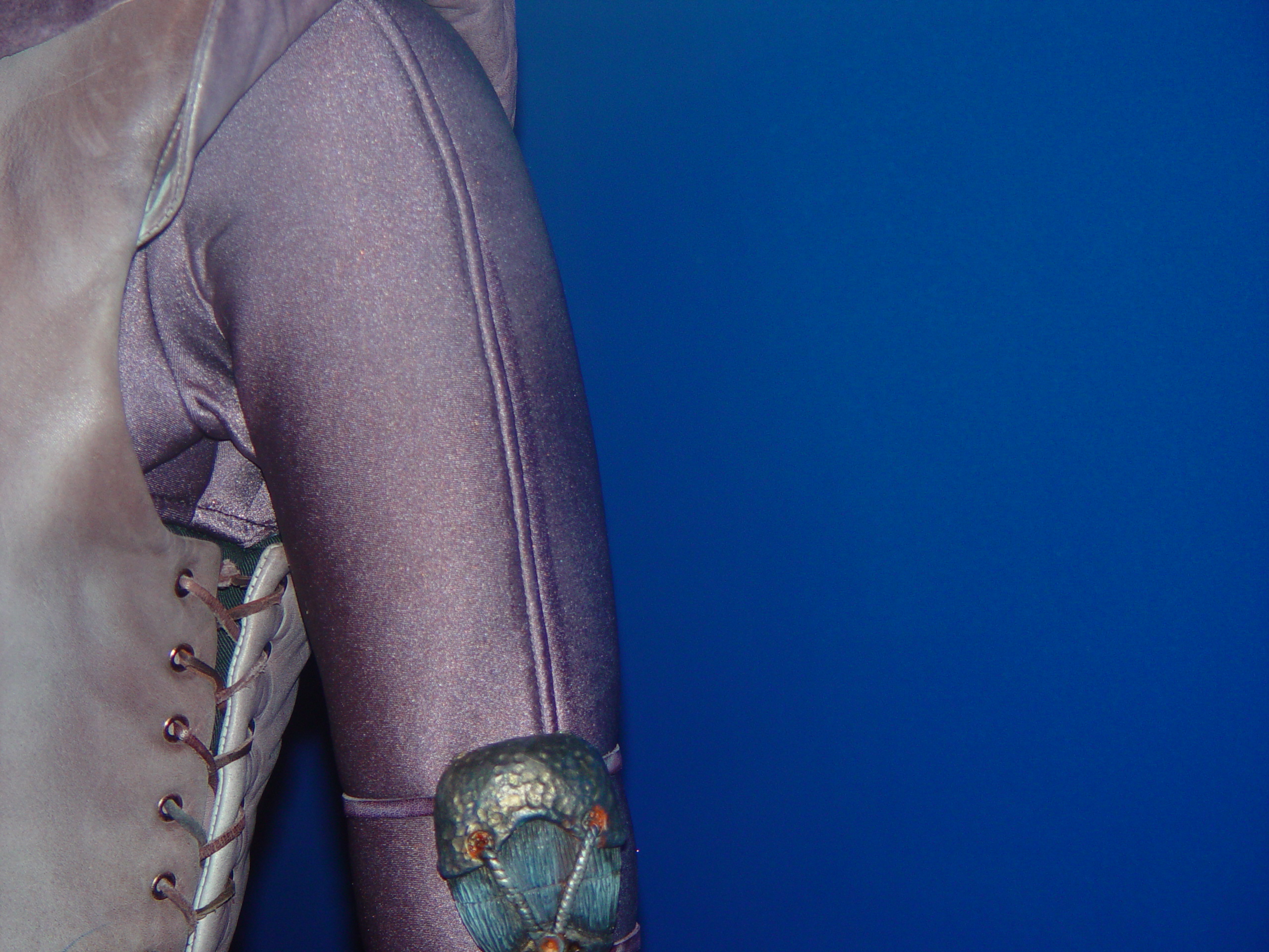 Zam Wesell Costume