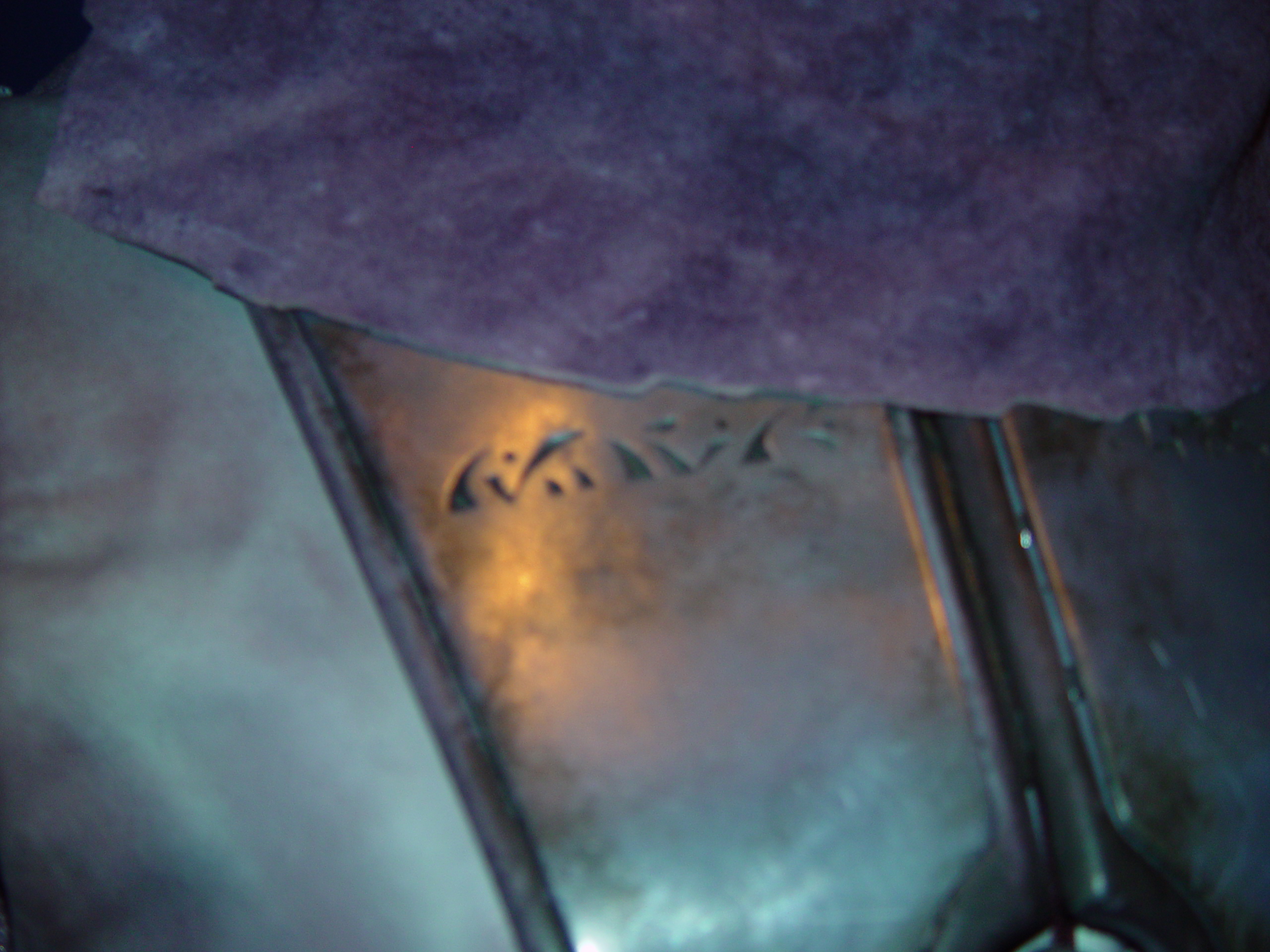 Zam Wesell Costume