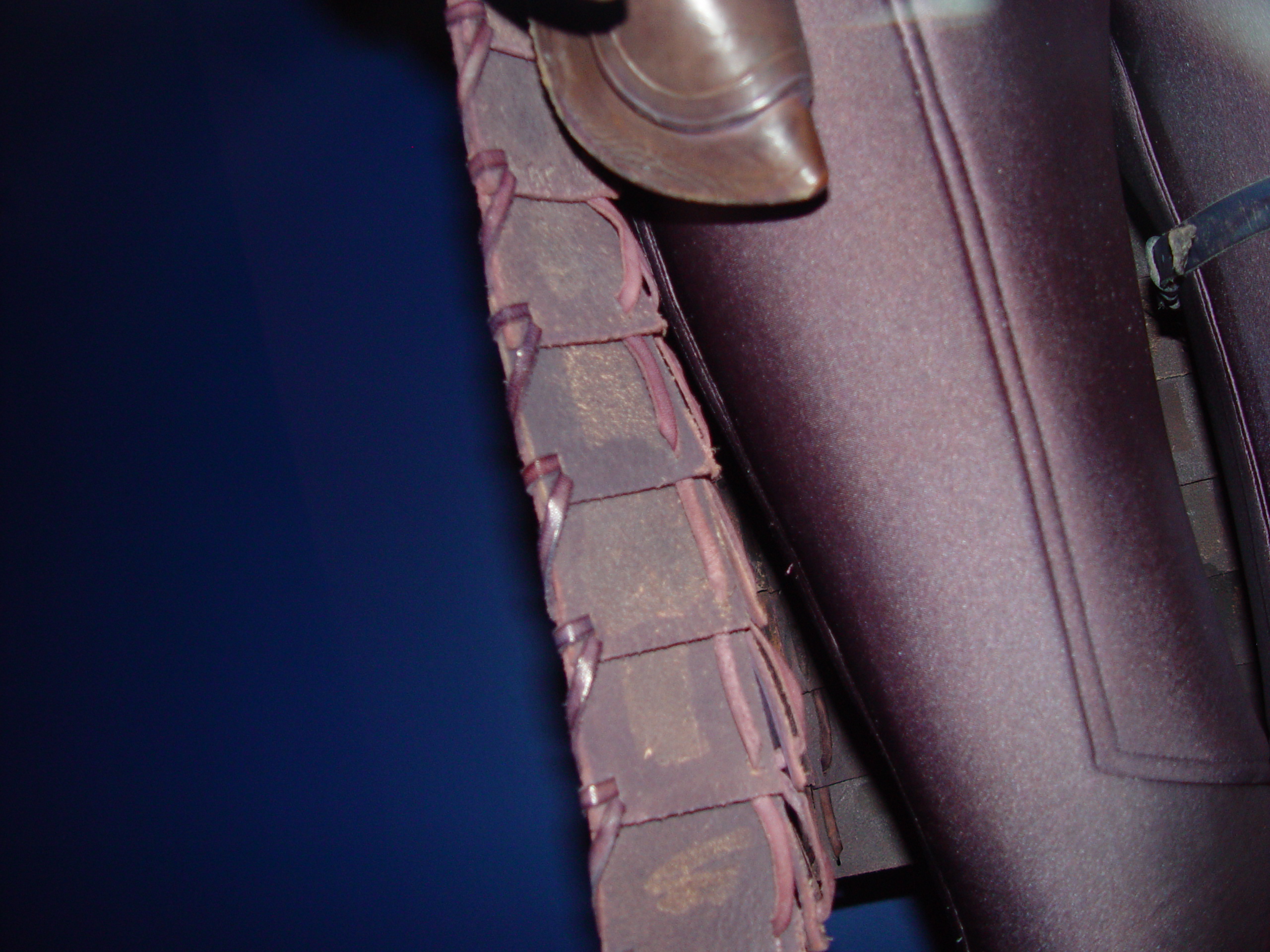 Zam Wesell Costume