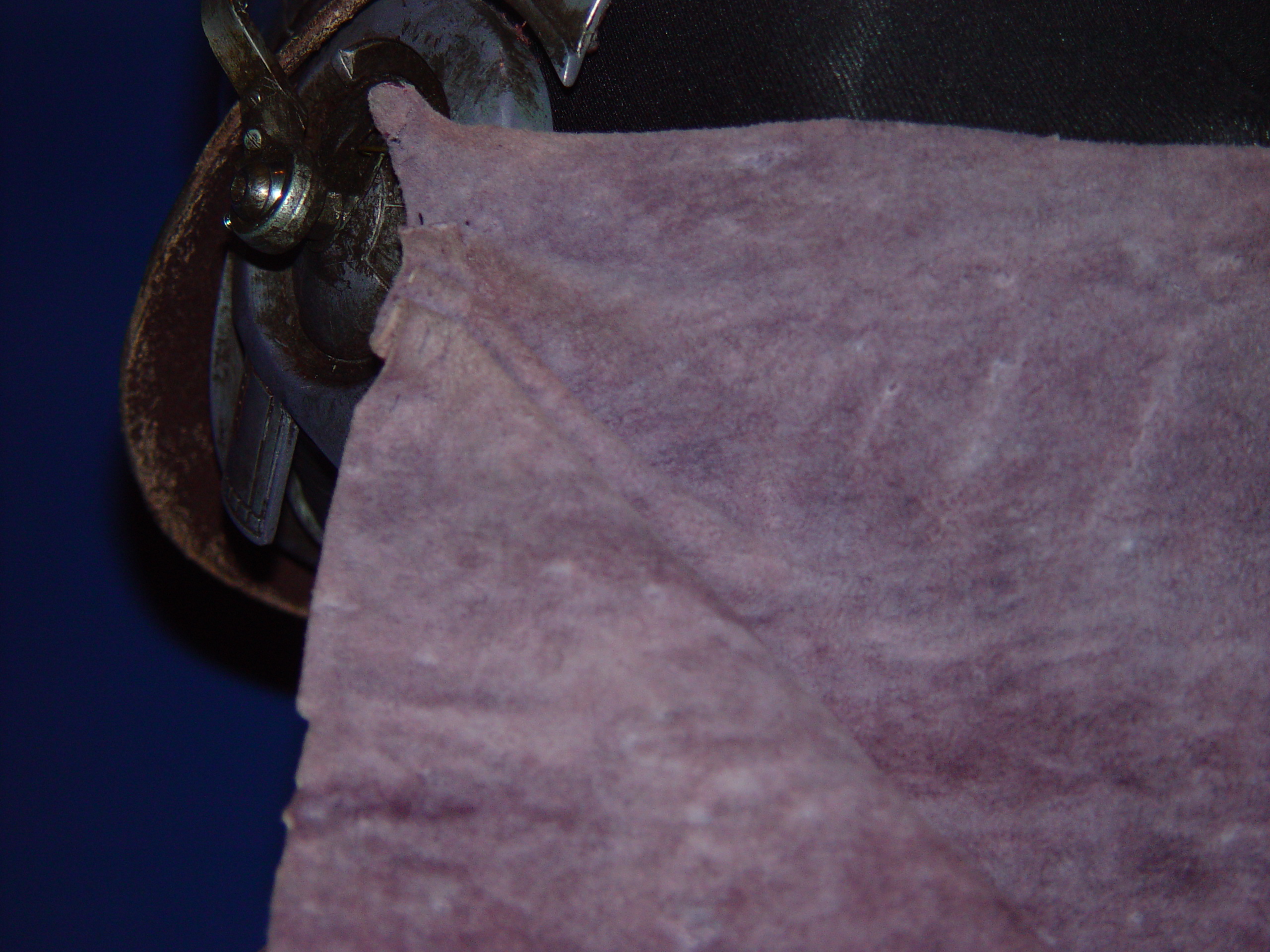 Zam Wesell Costume