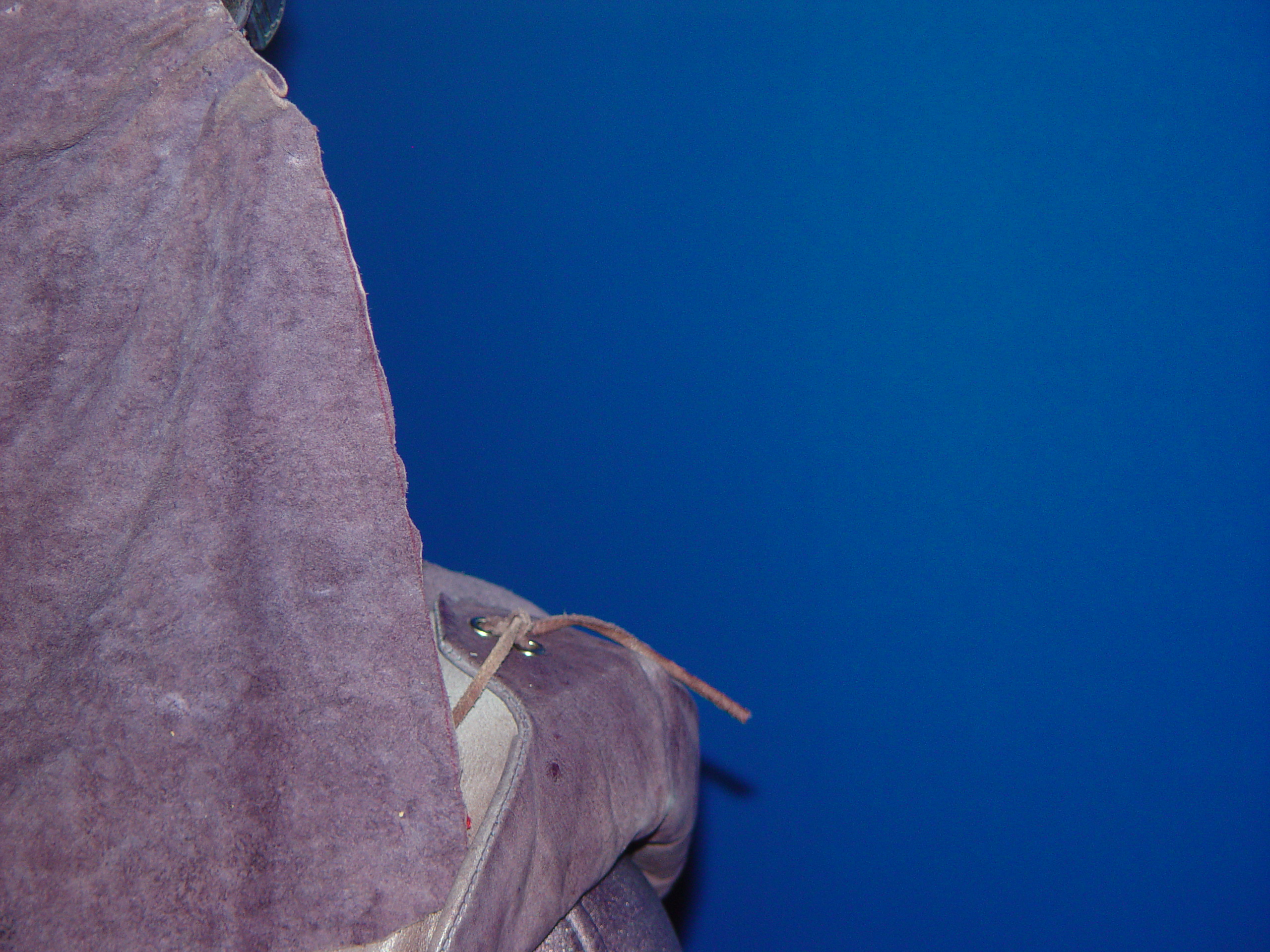 Zam Wesell Costume
